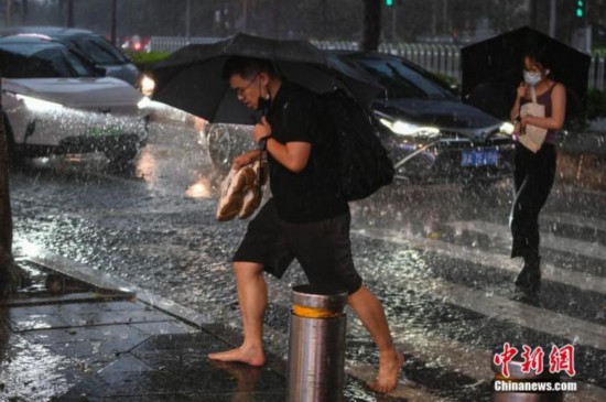 资料图：广州市民在雨中出行。中新社记者 陈骥旻 摄