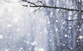 大范围雨雪天气今日进入最强盛时段 中国气象局启动三级应急响应