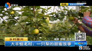 大丰恒北村：一只梨的甜蜜故事