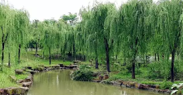盐城名胜,旧有八景之说,曾载于明万历间县官杨瑞云刊《盐城县志》与清康熙年刊《淮安府志》。八景即铁柱潮声、范堤烟雨、瓜井仙踪、龙祠胜概、石桥春涨、登瀛晚眺、杨楼苍翠、太湖秋月。清同治间,盐城原县署东北隅建思补亭,亭壁间嵌石刻瓢城十景图(明永乐间改筑砖城,形似瓢,故名瓢城),后增有龙港观海与盐岭积雪两景,因历经沧桑,川原易位,现多不存。今载以网络,俾盐城民众一览故盐旧景,他地网友了解盐城也。 铁柱潮声 铁柱冈位县治北门外,铁柱位里洋口。据《淮安府志》:故老传疑,谓是秦始皇东巡,驱山铎所逐,以