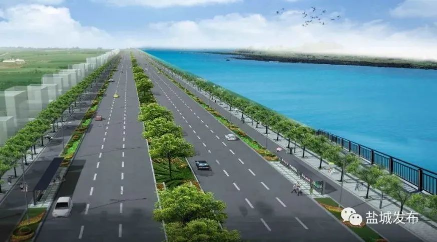 新洋港大道(范公路-人民路段)竣工建成啦!